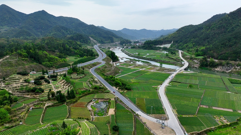 浙农浙贝母、杭白菊基地通过中药材GAP延伸检查